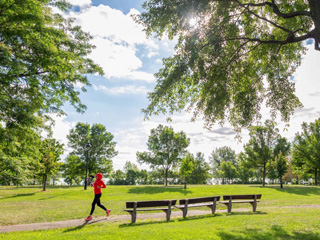 Parc de la Promenade-Bellerive