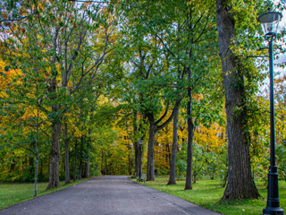 Parc du Bois-de-Coulonge