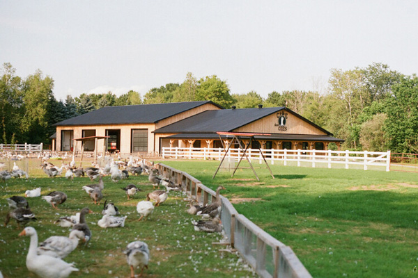 Au Gîte des Oies