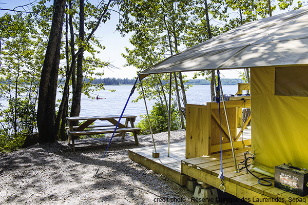 Camping de la Réserve faunique des Laurentides