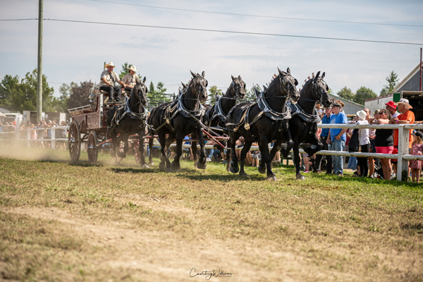 Exposition agricole de Shawville