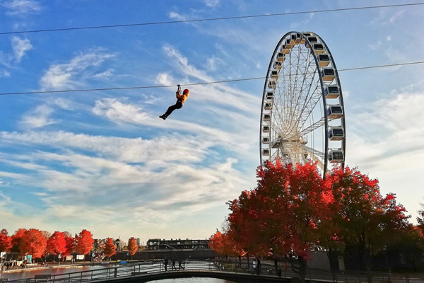 Tyrolienne MTL Zipline