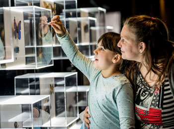 Mère et fille en train de regarder une exposition.