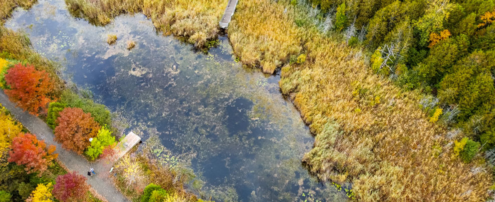 Vue aérienne du Marais de la Rivière-aux-Cerises.