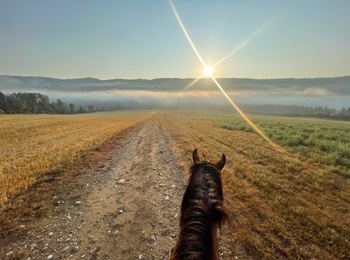 Point de vue somme si on était à dos de cheval; on voit la tête de l'animal et, au loin, le soleil qui tente de percer la brume.