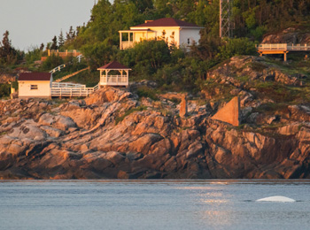 Parc marin Saguenay–St. Laurent