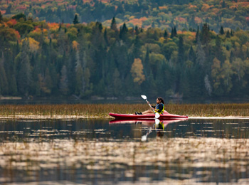 Jeune femme en kayak sur un lac dans le parc national du Mont-Tremblant en automne.