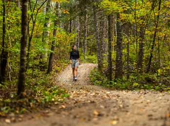 Jeune femme sur un sentier de randonnée pédestre l'automne