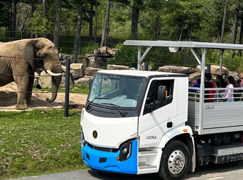 Camion de brousse bleu avec des passagers devant l'enclos d'un éléphant.