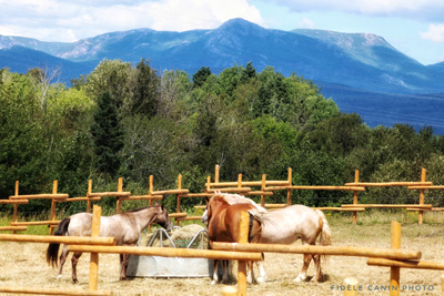 Partez en randonnée à cheval avec Les Montagnards de Charlevoix