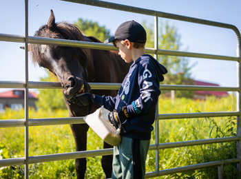 Jeune garçon et cheval noir derrière une clôture.