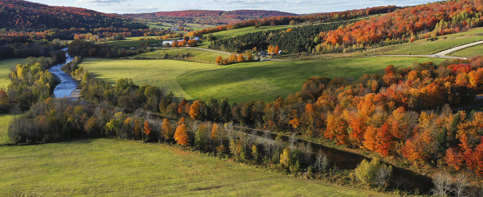 Paysage campagnard en automne