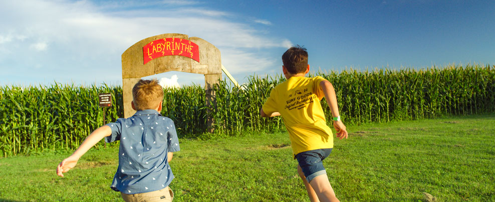 Deux jeunes garçons courant en direction d’un labyrinthe de maïs.