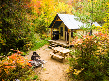 Chalet dans la forêt dans un décor automnal.