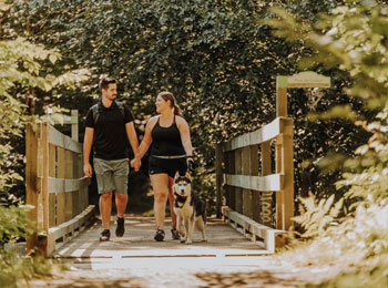 Couple avec un chien en randonnée dans un lieu boisé.