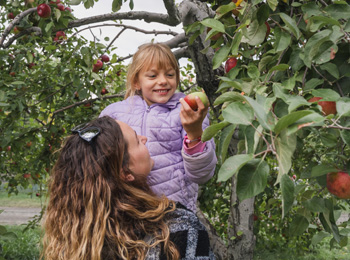 Mère et fille qui cueillent des pommes.