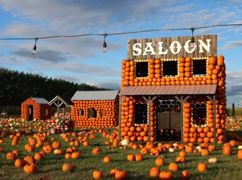 Décor de l'attraction Citrouilleville incluant un saloon construit avec des citrouilles.