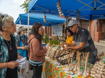 Kiosque d'ail au marché, avec marchands et clients en train de discuter.